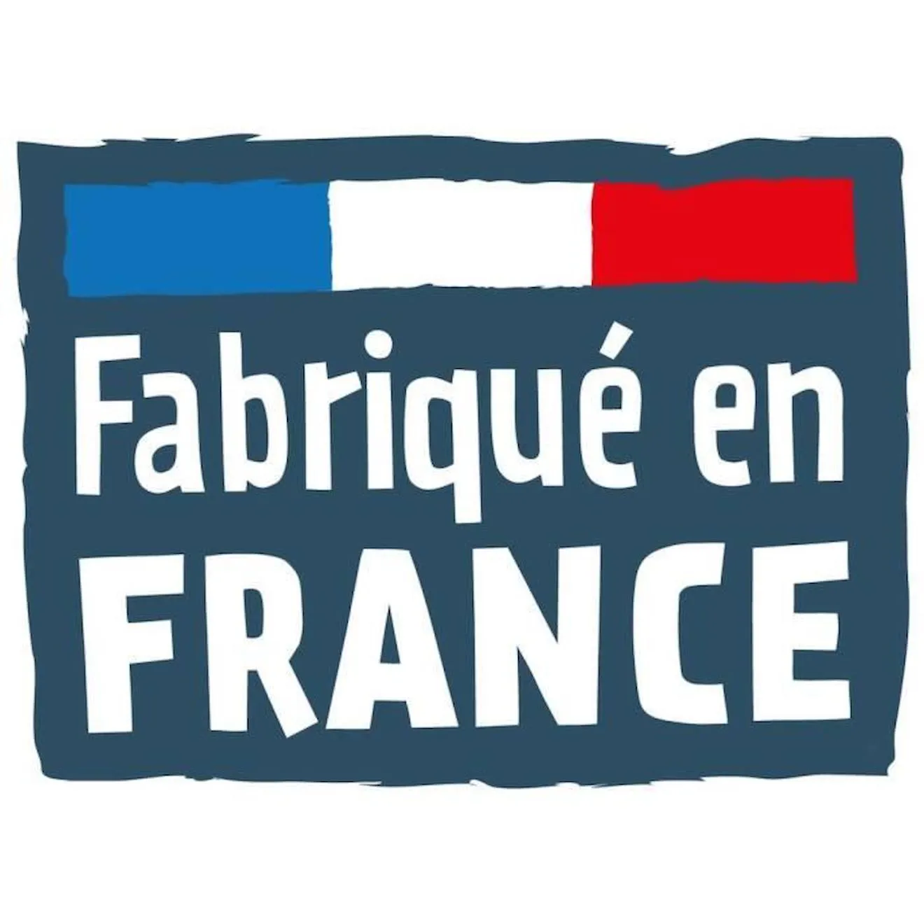 Bioviva - Défis Nature - Monuments fabuleux - Carte de jeu pour enfant de 7 ans et plus bleu - Bioviva