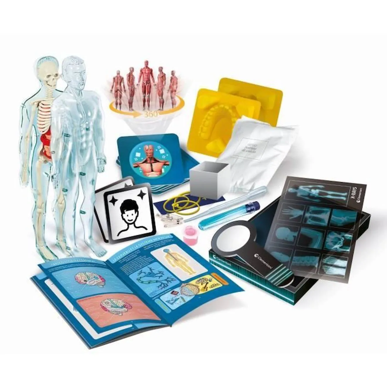 Clementoni - Coffret apprentissage de l'anatomie en 3D - Squelette, moule d'un cerveau ... - Application Réalité Augment