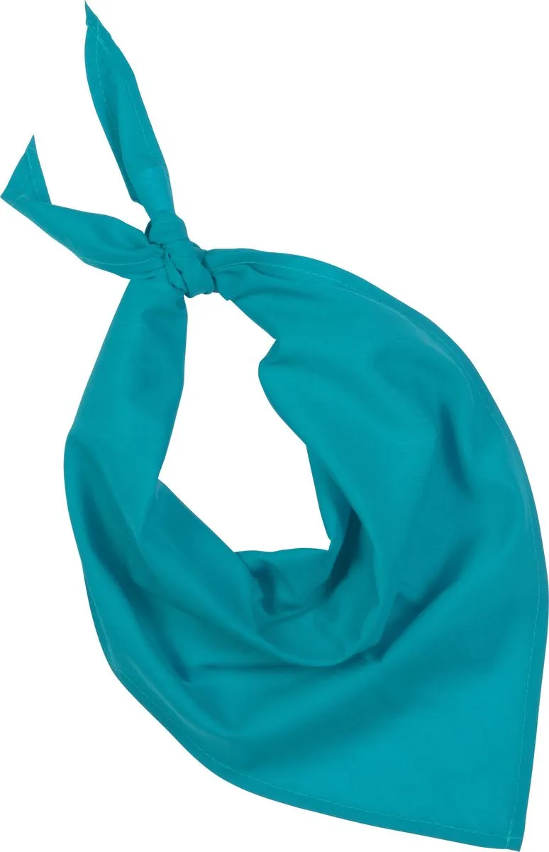 Lot de 10 bandanas fiesta - bleu turquoise 