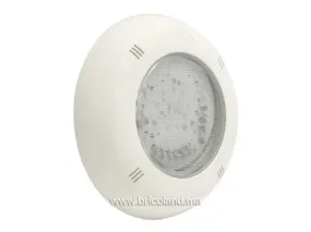 Projecteur LED Plat INOX 24 W - Blanc