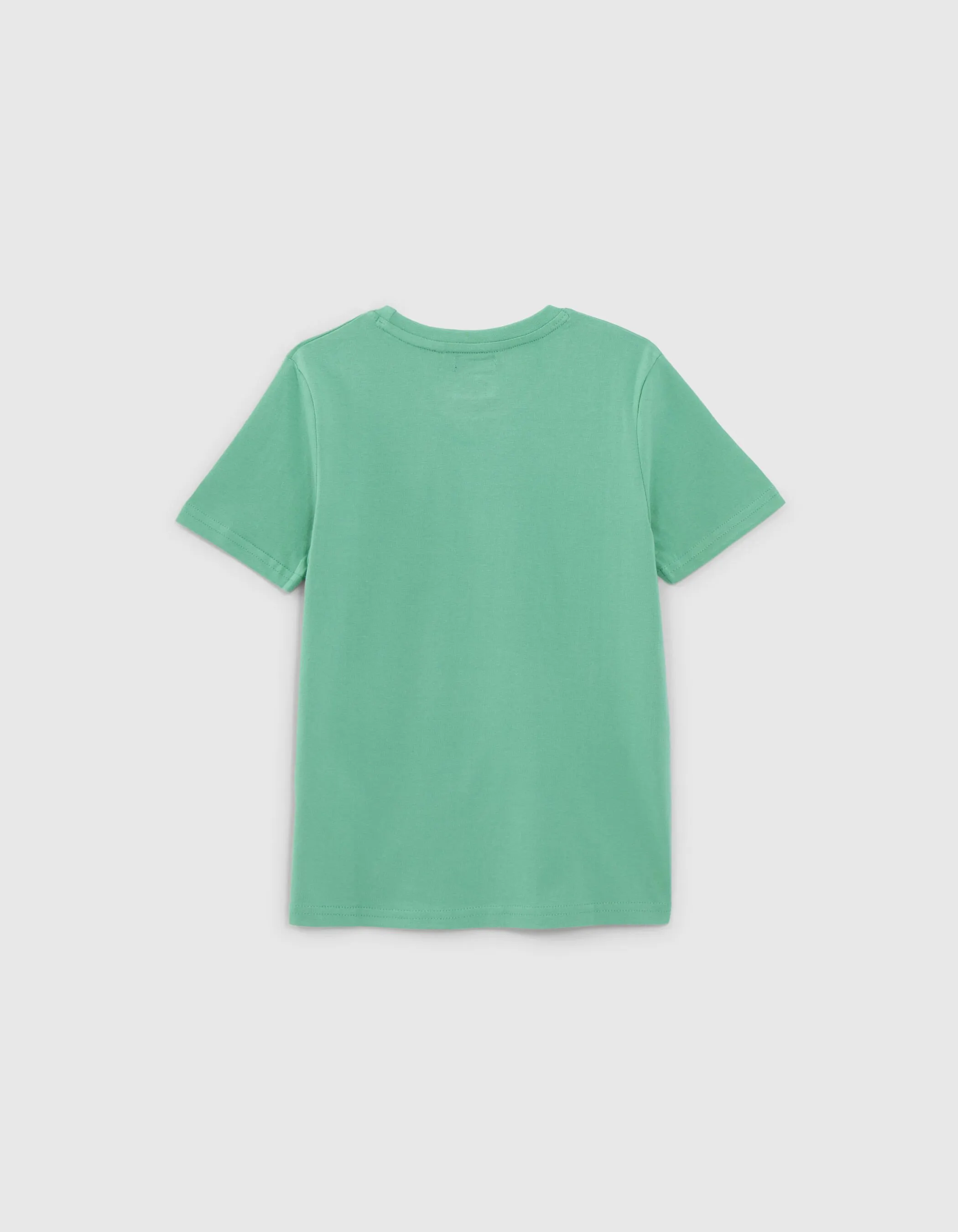 T-shirt vert phosphorescent JURASSIC PARK garçon